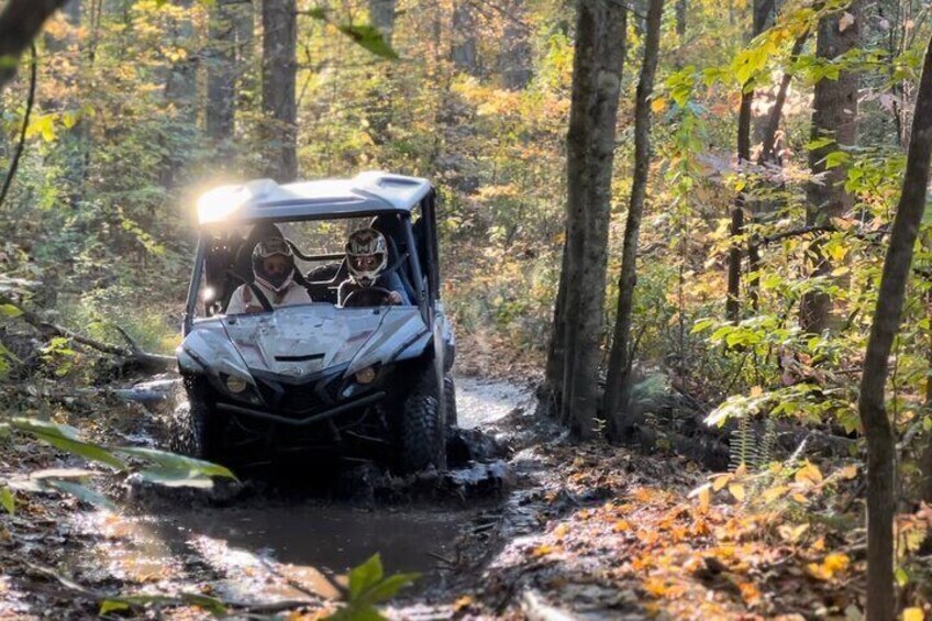 New River Gorge Side by Side Family Tour