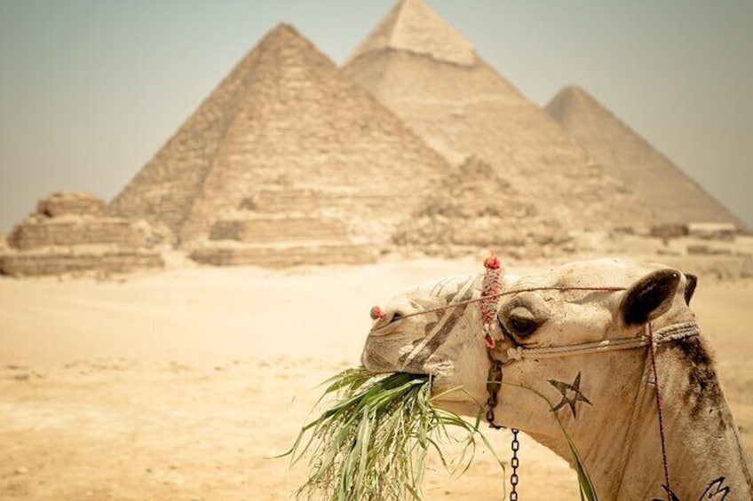 7 Days 6 Nights Egypt Holiday Package To Cairo ,Alexandria & Aswan & Luxor