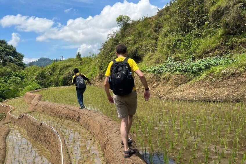 pacébo tours Ltd. | Tour Package Toraja