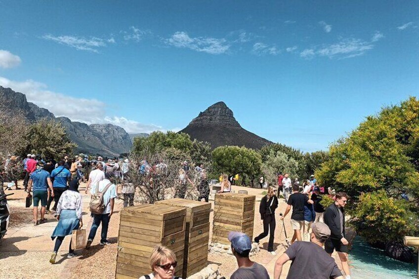 View from Signal Hill