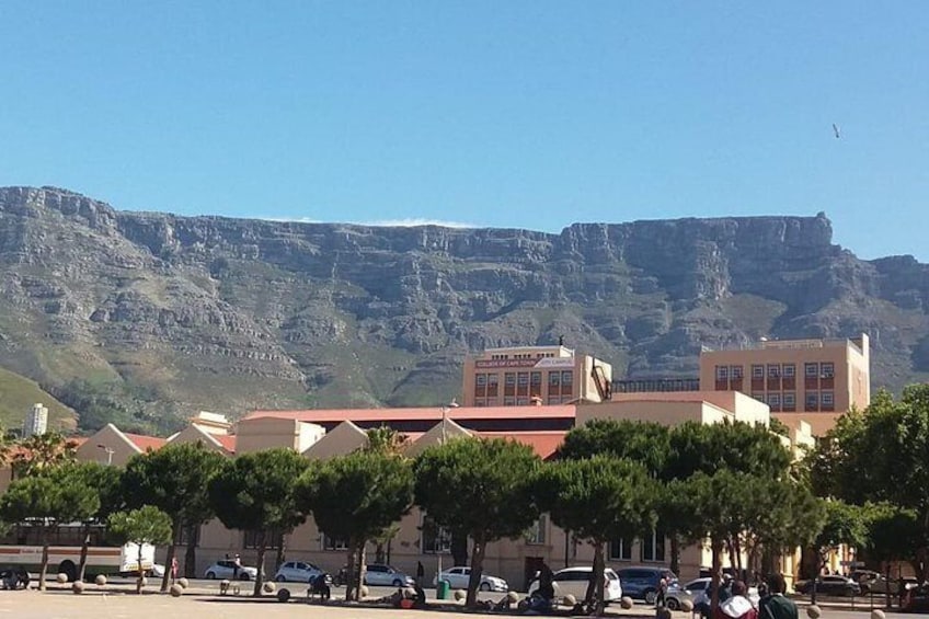 Parade with Table Mountain Background 2