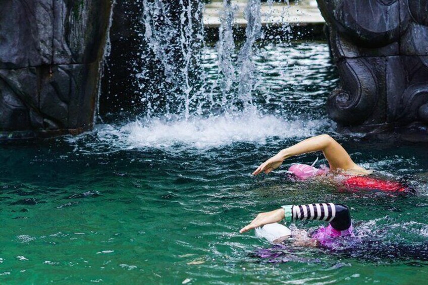 Total Immersion (TI) swimming lesson