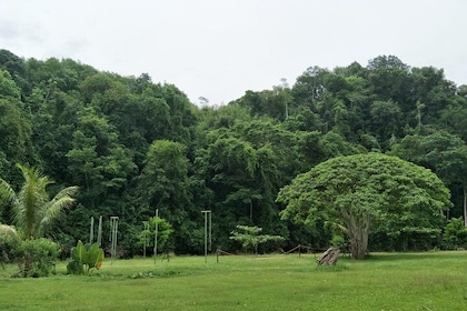 Borneo Combo Adventure