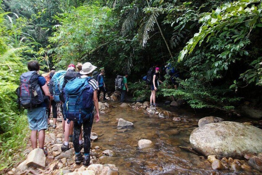 Borneo Combo Adventure