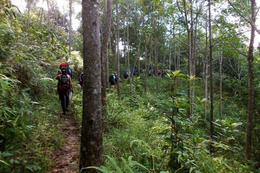 Borneo Combo Adventure