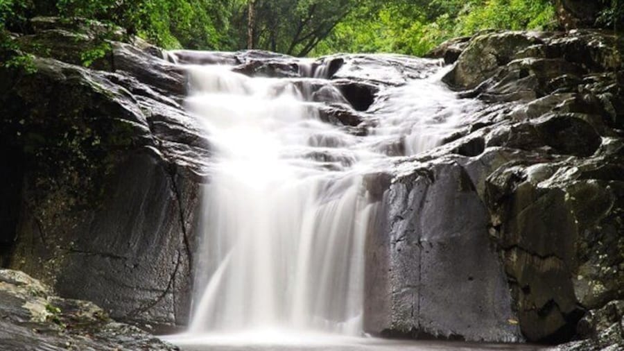 Pala U Waterfall and Kaeng Krachan Jungle Hike with Private Guide from Hua Hin