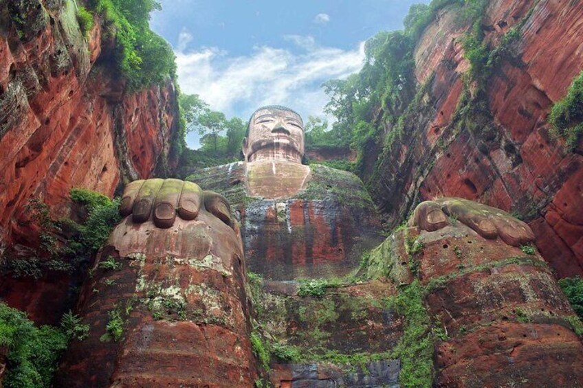 1 day Giant Panda & Leshan Buddha Mini Group tour