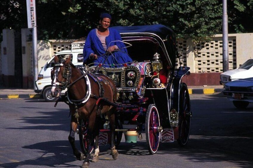 Aswan City Tour by Horse Carriage Start from 10$