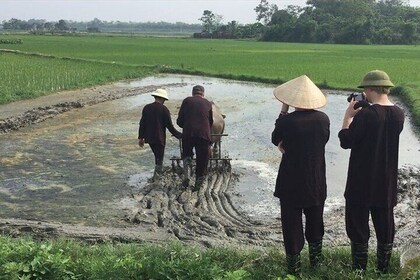 ECO TOUR in Bac Giang - 1 day experience as a farmer