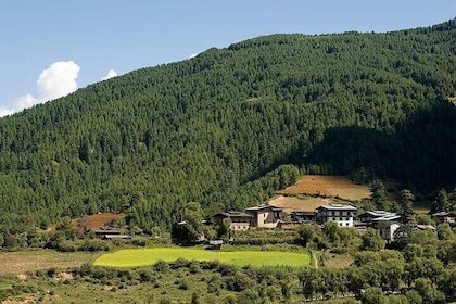 14 Days Bhutan Cultural Tour With 2-Day Trek in Bumthang Valley