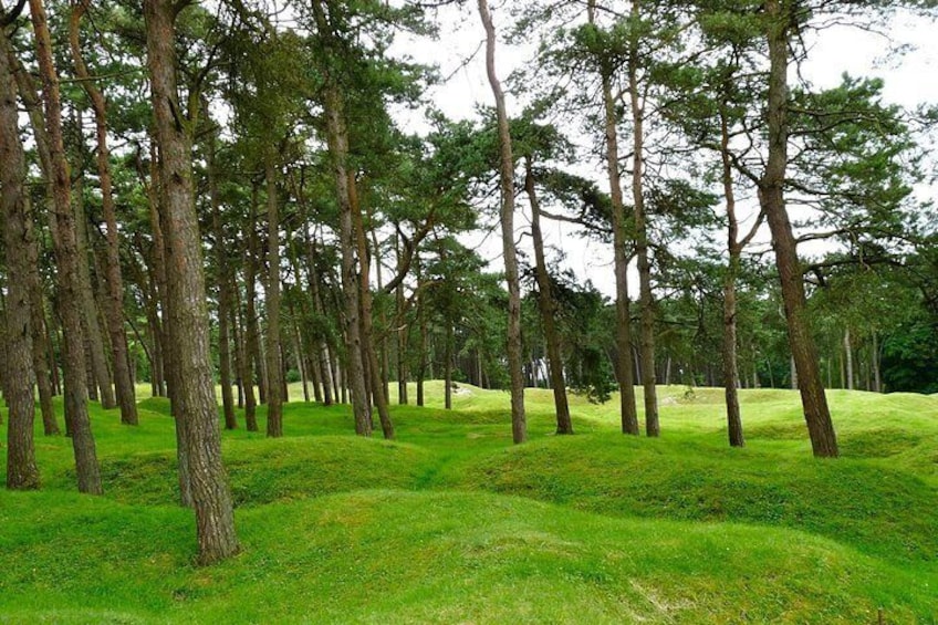 Vimy Ridge & Arras Day Tour