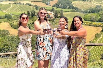 Tuscany Wine tour & San Gimignano from Florence