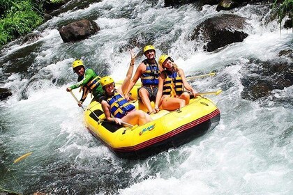 6 Days Bali Adventure Tour: Buggies, Classic VW, Rainforest Trekking & Raft...