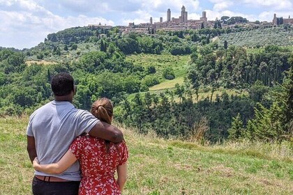 From Rome: Day Trip to Tuscany & Siena with lunch & Wine Tasting