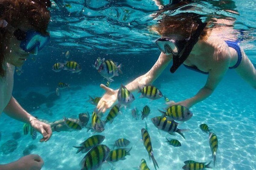 Snorkeling in Punta Cana 