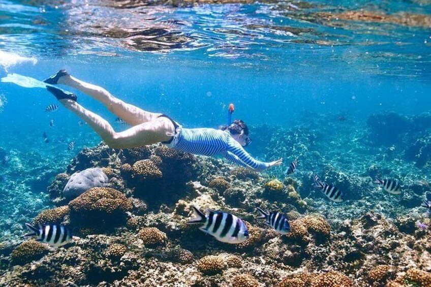 Snorkel up close to the colorful Caribbean fish!