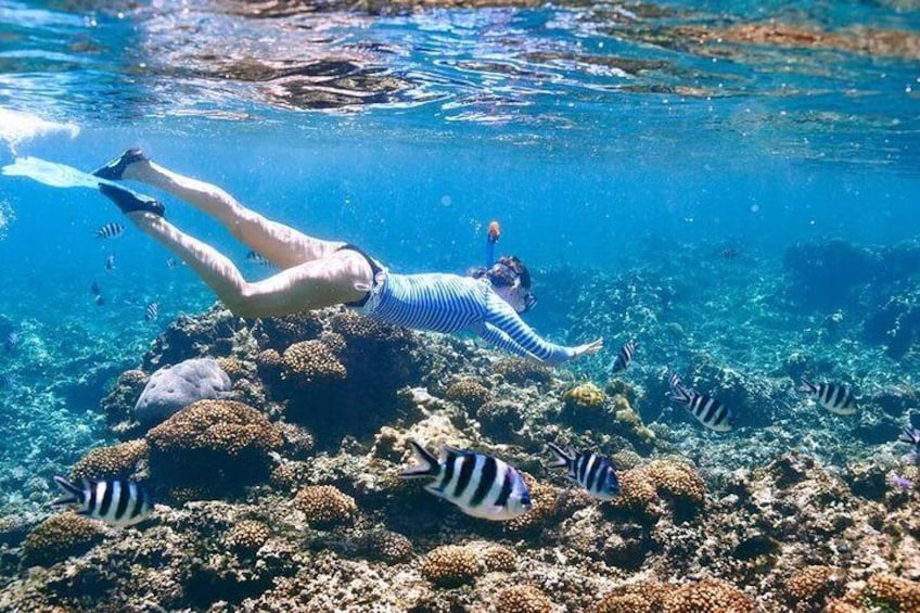 Snorkel up close to the colorful Caribbean fish!