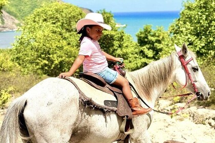Nature & Historical Horseback Riding Tours St. Lucia