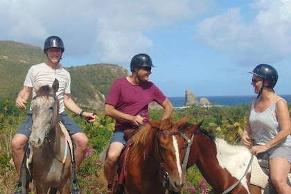Nature & Historical Horseback Riding Tours St. Lucia