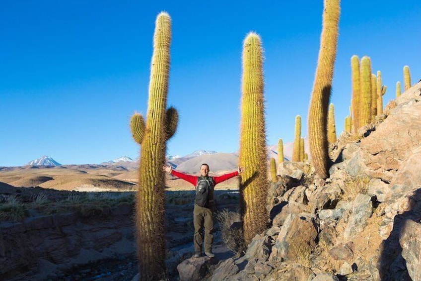 Small-Group Tour to Moon Valley from San Pedro de Atacama 