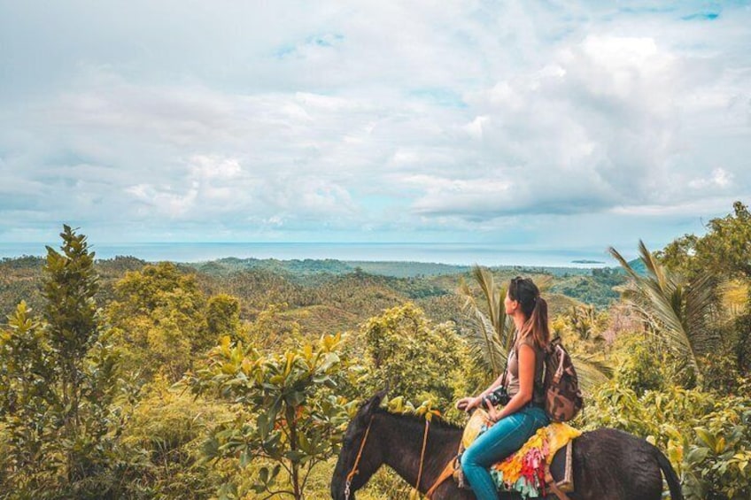 Samana: Cayo levantado ( Bacardi Island) & El Limon Waterfalls from Punta Cana