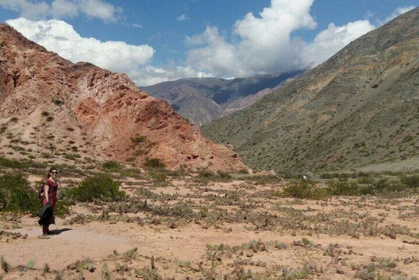 Full-Day Tour Salinas Grandes, Purmamarca whith trekking and More from Salta