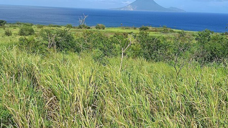 Saint Kitts Train Trek
