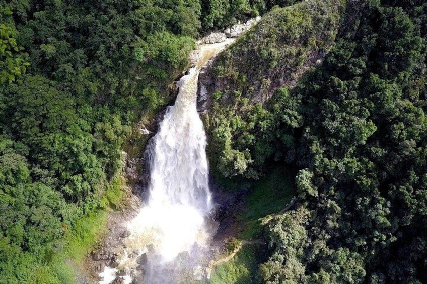 Dream hammocks plus epic zipline and giant waterfall private tour from Medellin