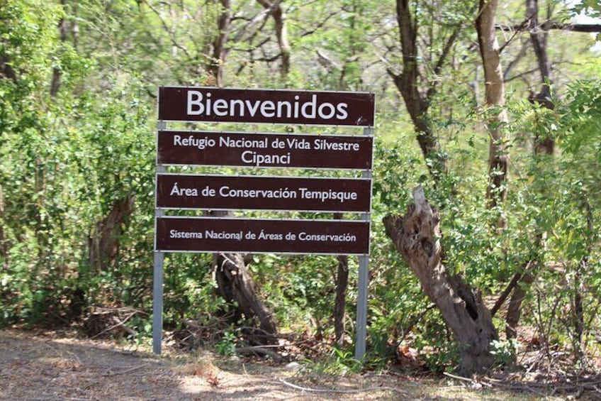 Jungle Cruise at Palo Verde National Park