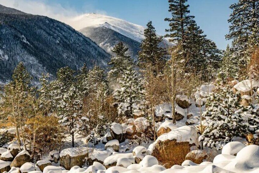 Rocky Mountain National Park Tour - Hidden Valley Sledding Tour