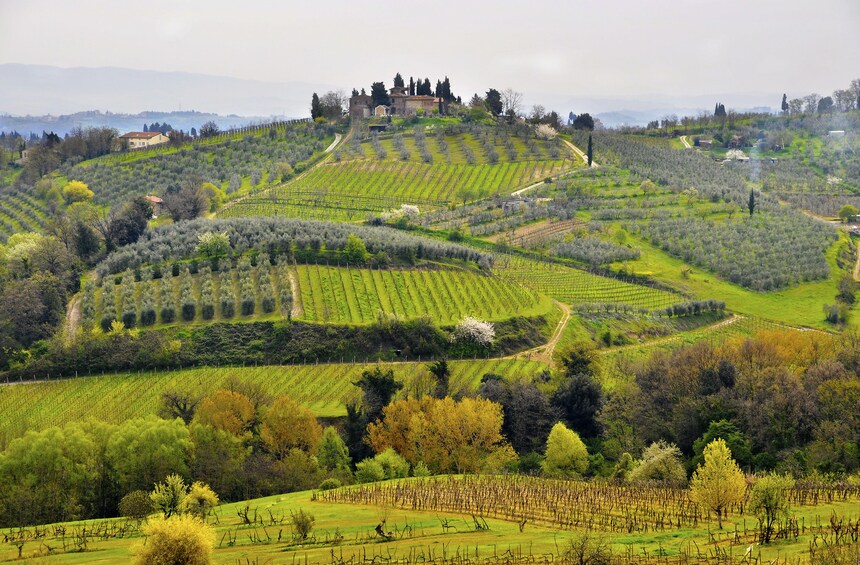 Vintage Fiat 500 Tuscany Drive with Winery Lunch