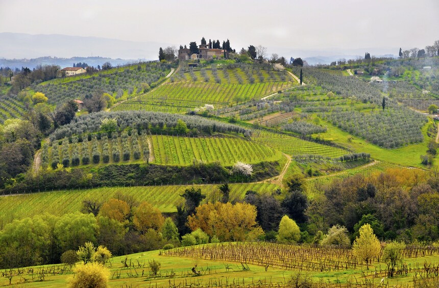 Vintage Fiat 500 Tuscany Drive with Winery Lunch 