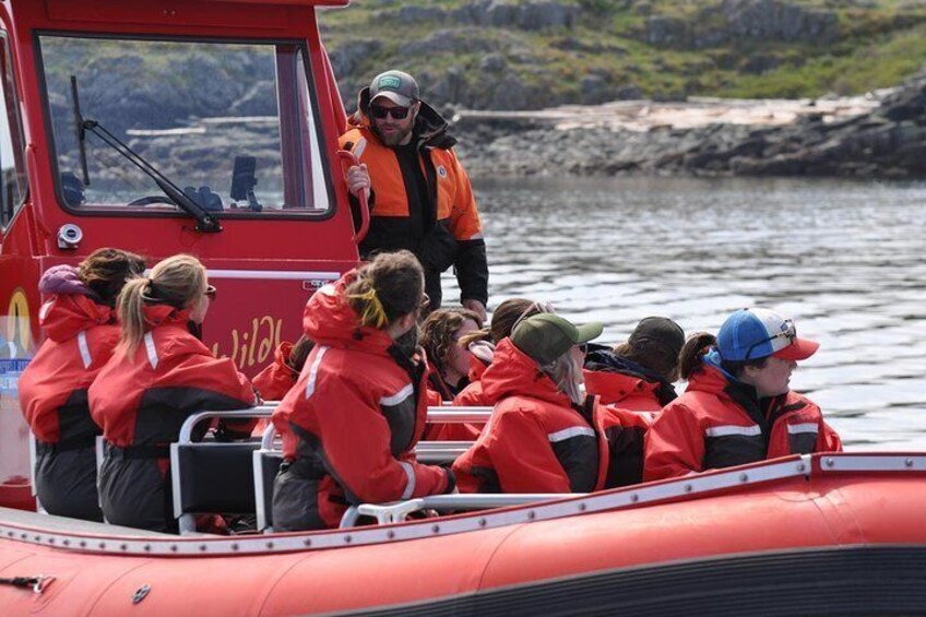 6 hour Zodiac Whale Watching Tour