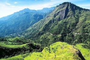 Ella Day Tour from Nuwara Eliya/ Train Ride/ Breakfast - ASY Tours