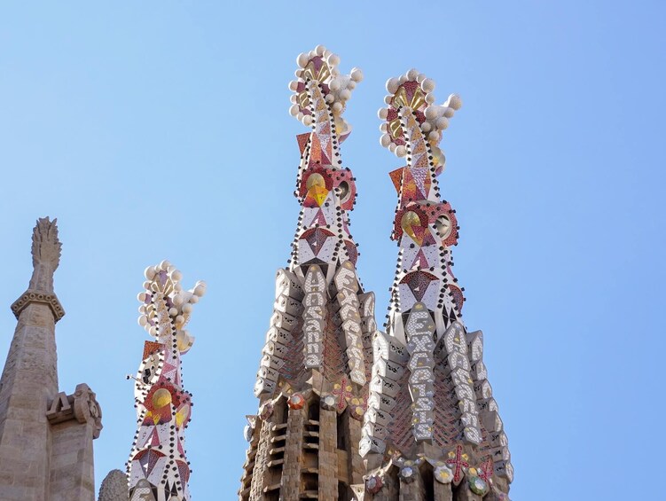 Fast Track: Sagrada Família Guided Tour with Tower Access