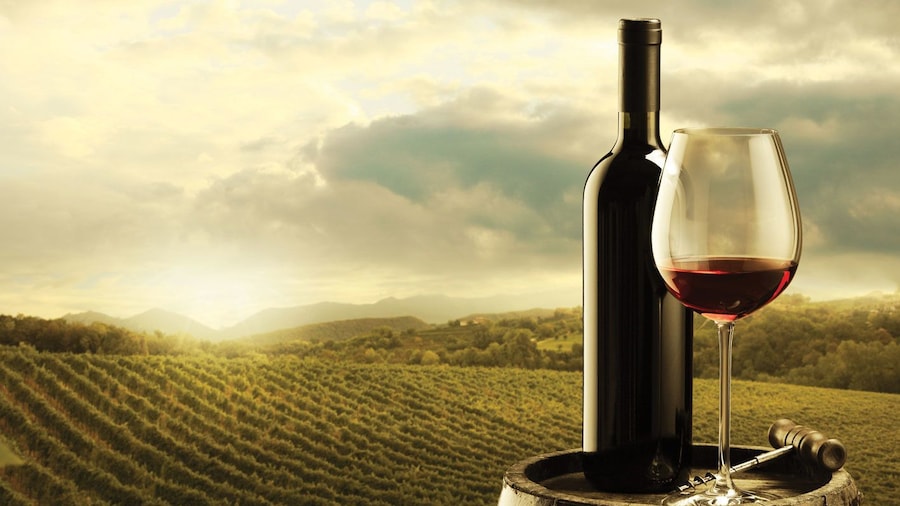 bottle of wine and glass in vineyard in Barcelona