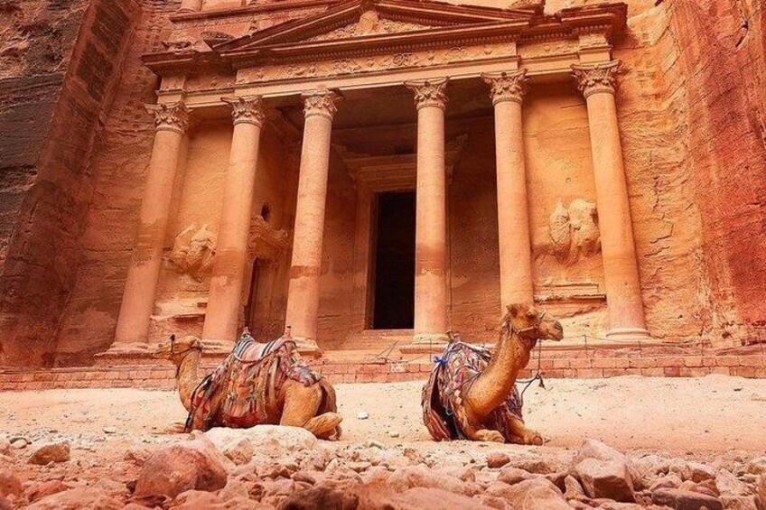 2 days jordan tour Amman and petra