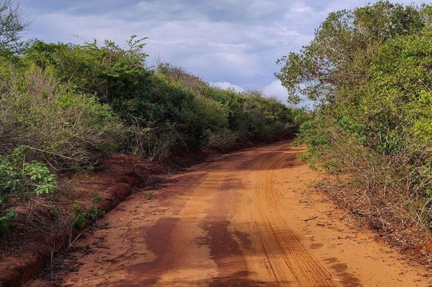 bundala national park