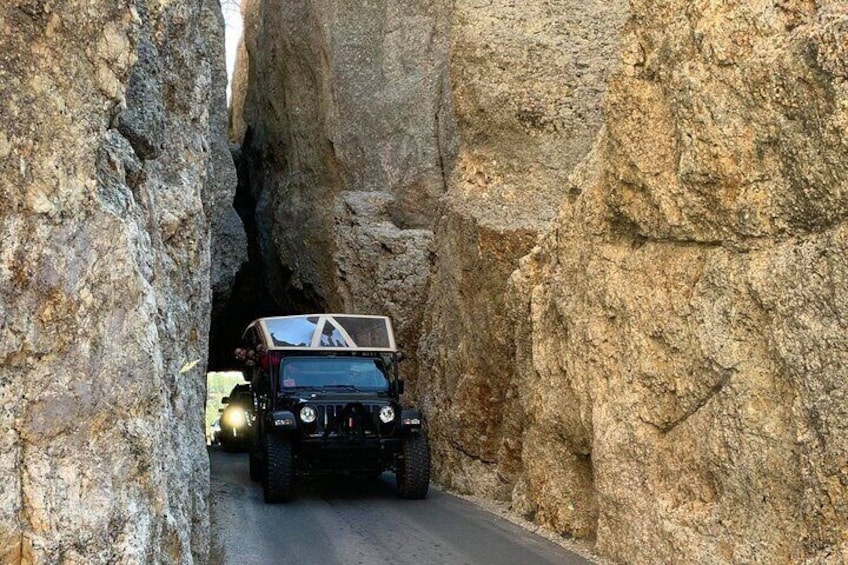JEEP Bison Safari - Half Day to Custer State Park - Public