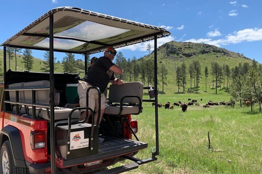 JEEP Bison Safari - Half Day to Custer State Park - Public