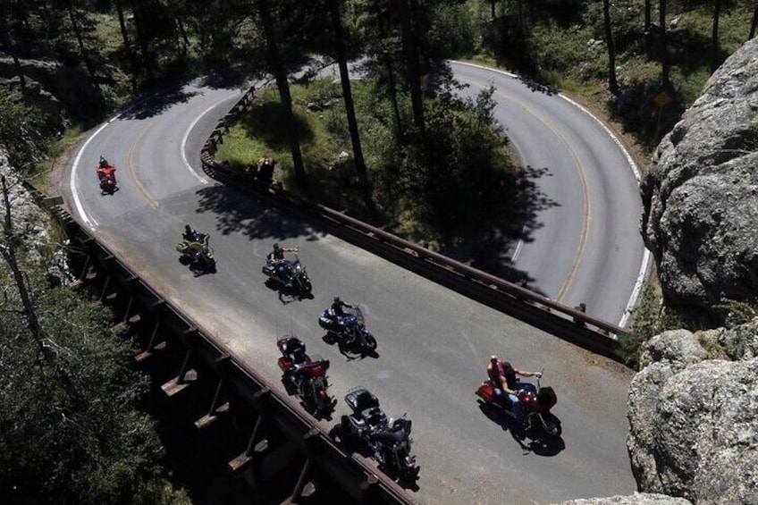 JEEP Bison Safari - Half Day to Custer State Park - Public