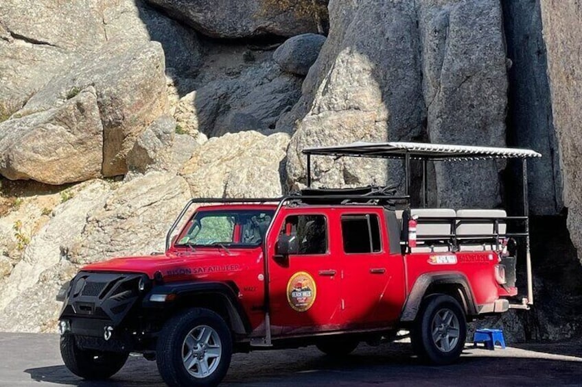 JEEP Bison Safari - Half Day to Custer State Park - Public