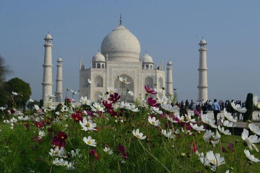 Taj Mahal with Nature