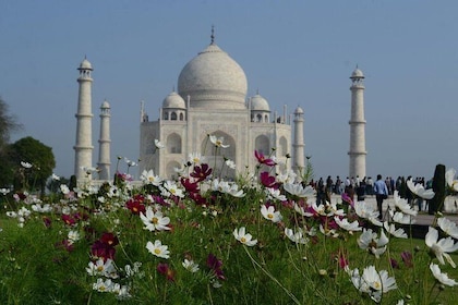 Delhi till Agra och Taj Mahal Privat dagsutflykt med expresståg med lunch