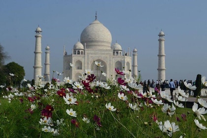 Delhi til Agra og Taj Mahal Privat dagstur med Express tog med lunsj