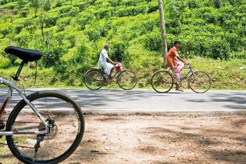 Ella Cycling Tour