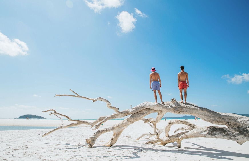 Show item 5 of 9. Activity Whitsunday and Whitehaven Half-Day Cruise