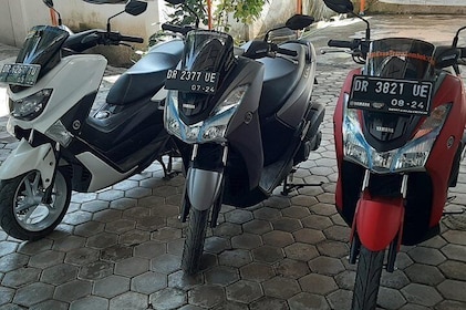 Motor Bike Rentals Near Lombok International Airport