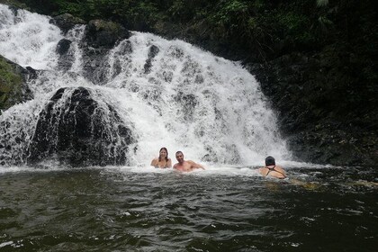 Private Embera village Eco-Cultural Tour, jungle waterfall, and nature hiki...