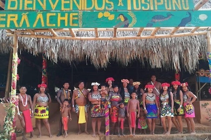 Private Embera village Eco-Cultural Tour, jungle waterfall, and nature hiki...
